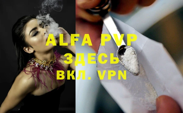 a pvp Белокуриха