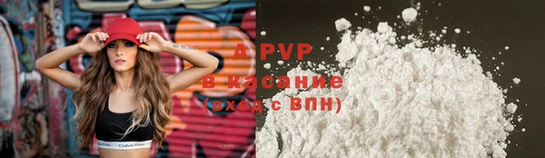 a pvp Белокуриха