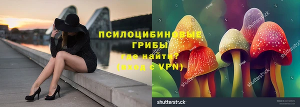 мдпв Беломорск