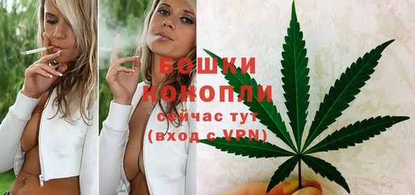 a pvp Белокуриха