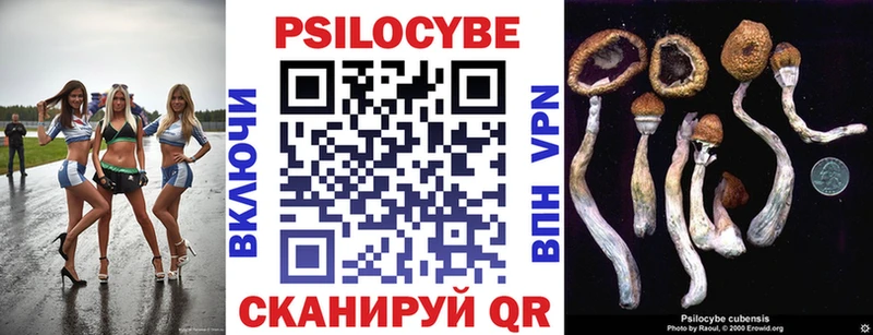 Галлюциногенные грибы Psilocybe  Большой Камень 